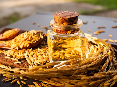 Rice Bran Oil Processing Plant