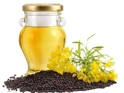 Rapeseed Oil Refining Plant
