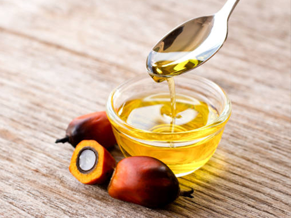 Palm Kernel Oil Refining Plant