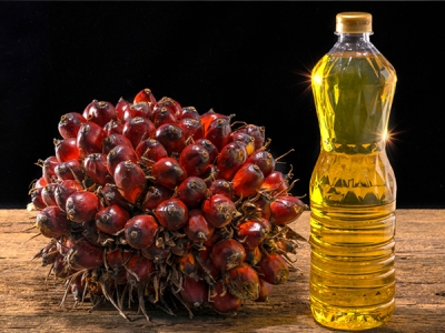 Palm Oil Fractionation