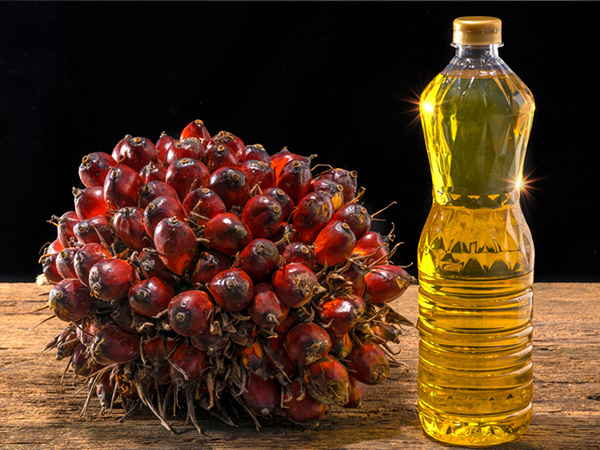 Palm Oil Fractionation