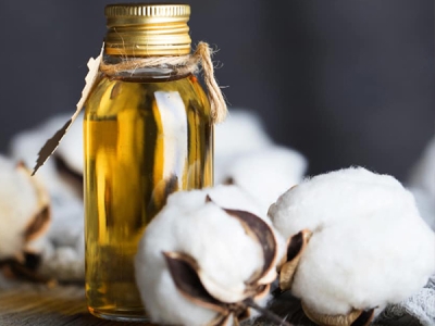 Cottonseed Oil Processing Plant