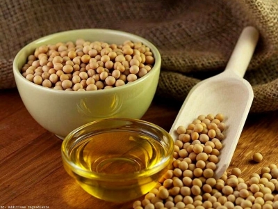 Soybean Oil Processing Plant