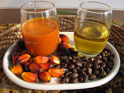 Palm Oil Refining Plant