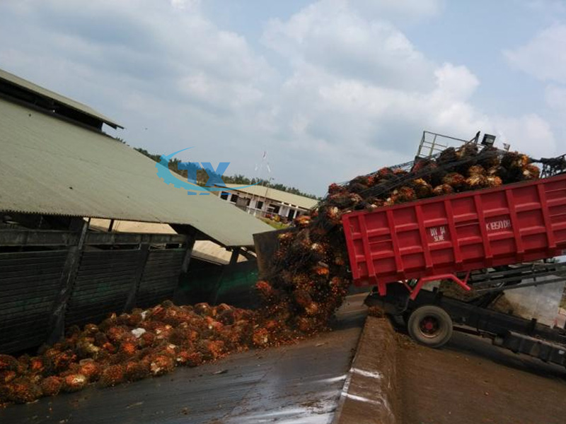 palm-oil-machine