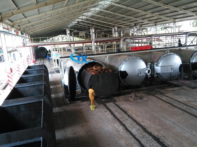 palm-oil-Sterilization