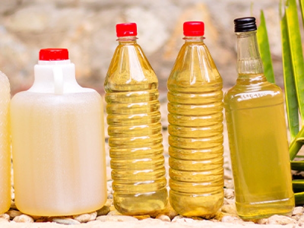 Coconut oil Processing Plant