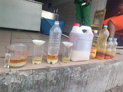 Palm Oil Fractionation Benefits