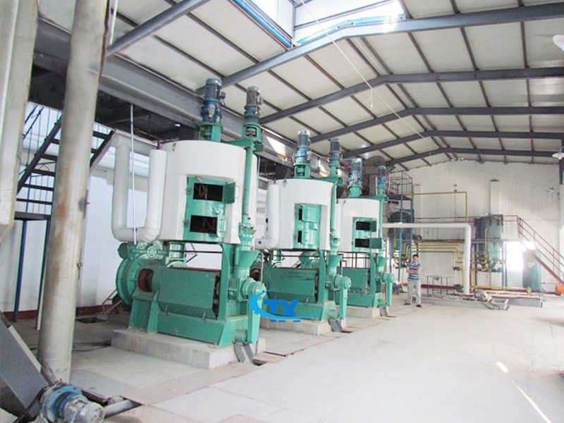 groundnut-oil-production-line